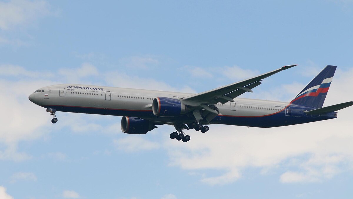    Фото: Maksim Konstantinov/globallookpress.com