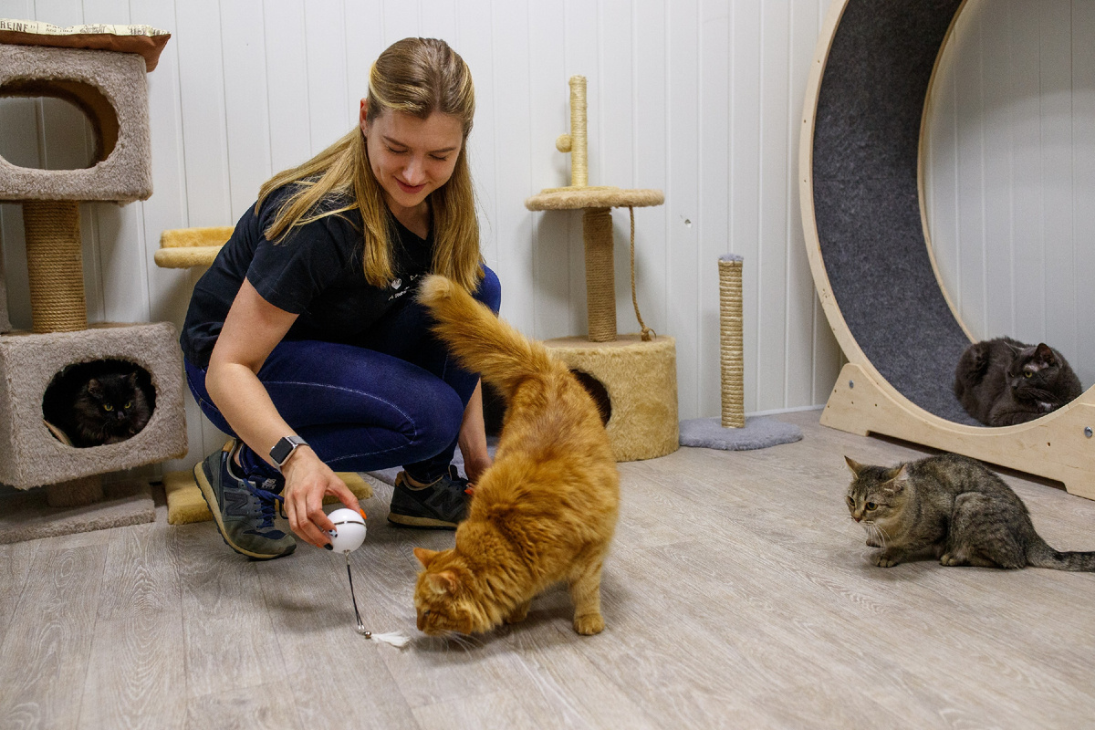 Татьяна Шувалова: «Лучик» – это моя отдушина, место силы. Я растворилась в его жизни. Волонтёрю уже 8 лет»