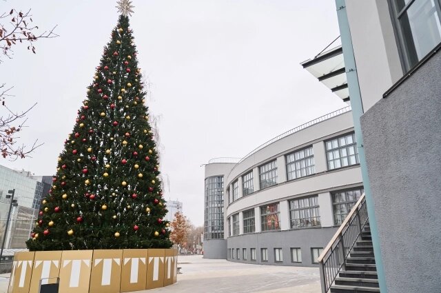    Фото: ©ГБУ СО «ТИЦ»