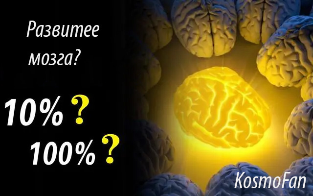 Галерея автора.