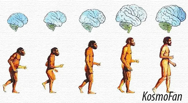 Галерея автора.