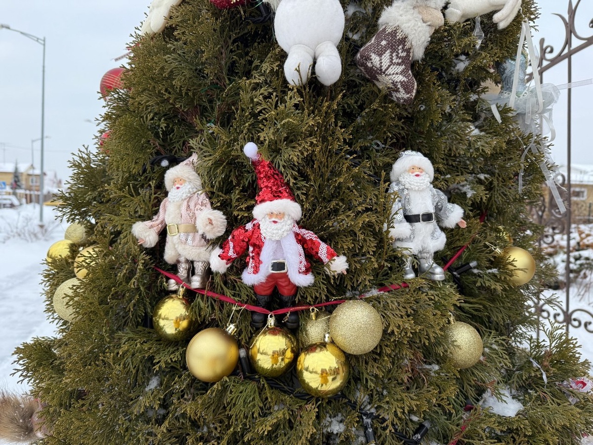 Фото из личного архива