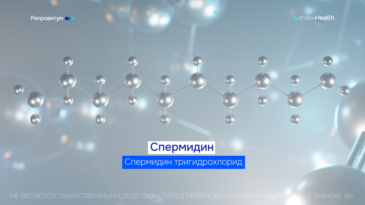 спермидин для для защиты и формирования структуры сперматозоидов