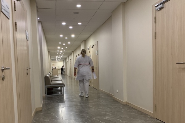    Фото:  АиФ/ Ирина Малина