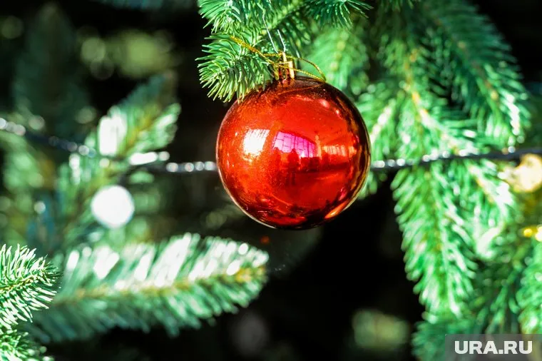 В Кремле нарядили и показали праздничную елку
Фото: Вадим Ахметов © URA.RU