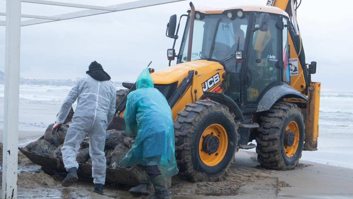    Фото: Екатерина Новикова