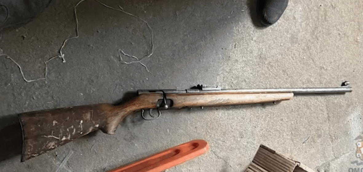    Фото: скрин с видео УМВД по Омской области