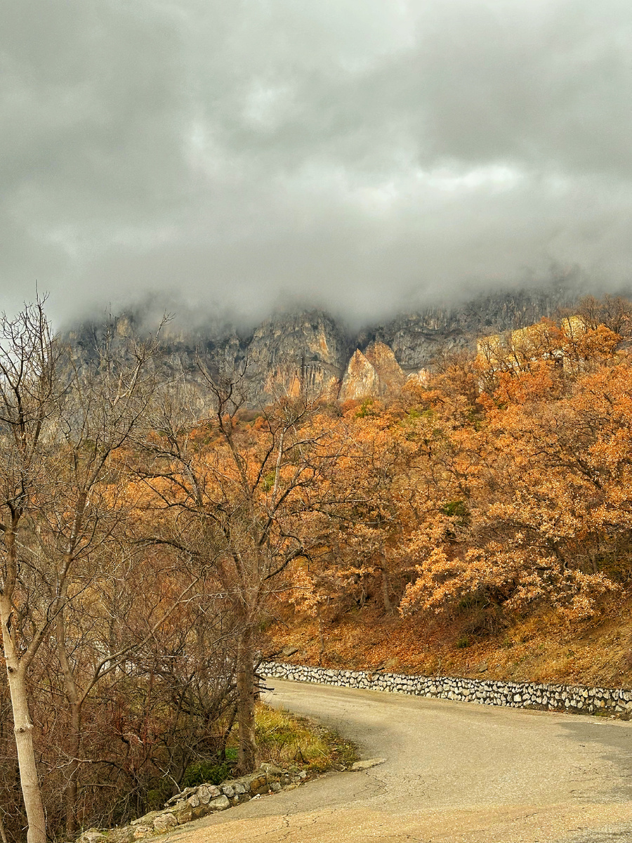 Осенний вид