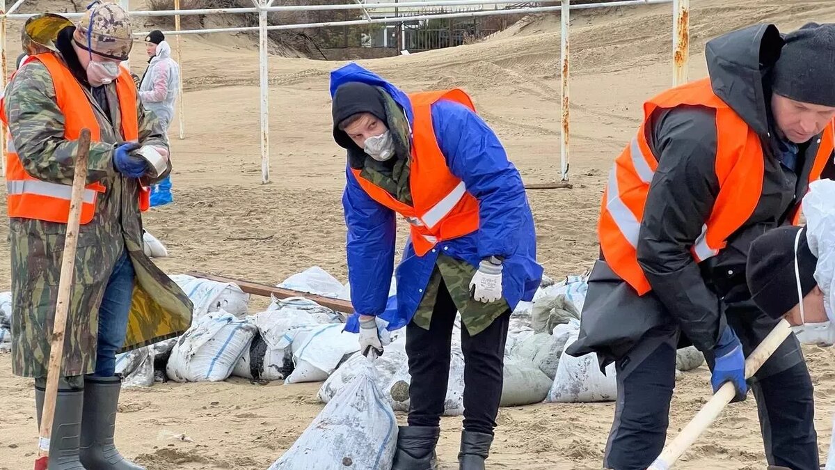     Автор: admkrai.krasnodar.ru