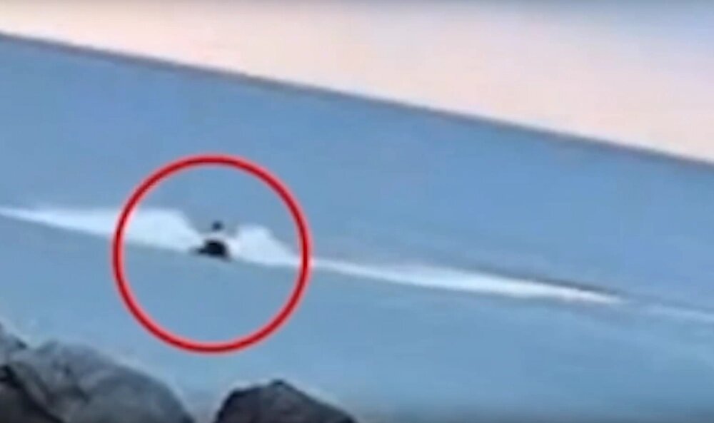    Фото: Скриншот видео из соцсетей.