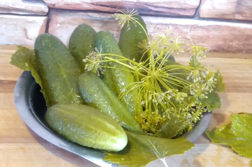 Важно выбрать правильный сорт 