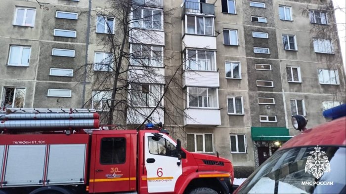 Фото ГУ МЧС России по Новосибирской области.