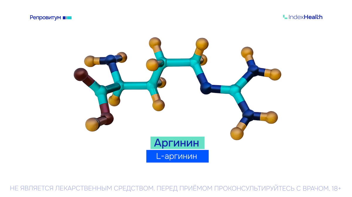 аргинин и подвижность сперматозоидов