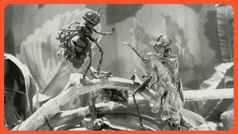 «Прекрасная Люканида, или Война рогачей с усачами», 1912 год