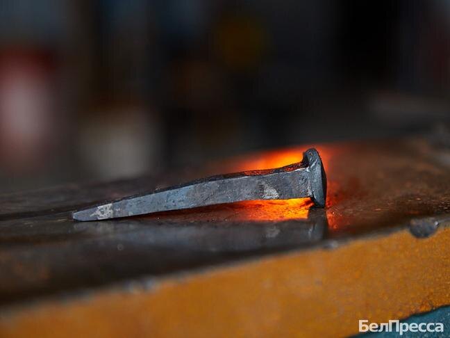 Фото: Елена Журавлёва