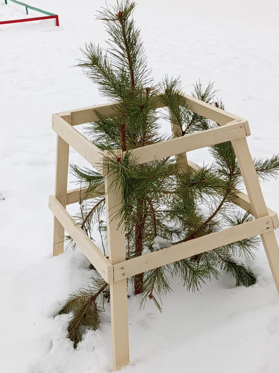 Источник: личное фото "вот какое-то такое предновогоднее настроение"