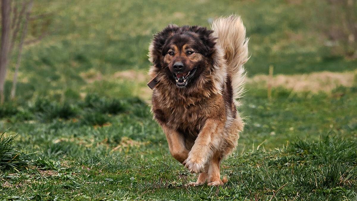    Фото: Shutterstock