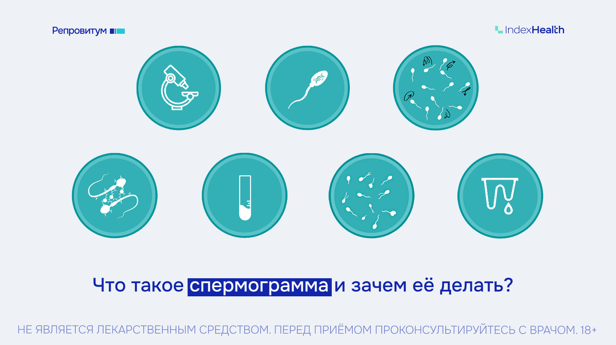 Спермограмма: что это такое