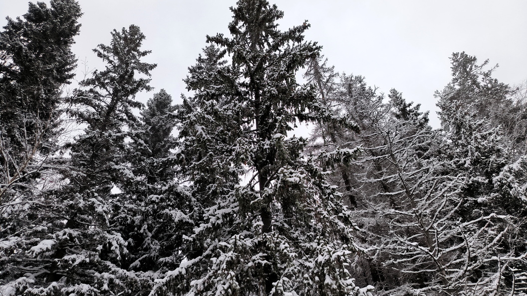    Maksim Konstantinov/Globallookpress