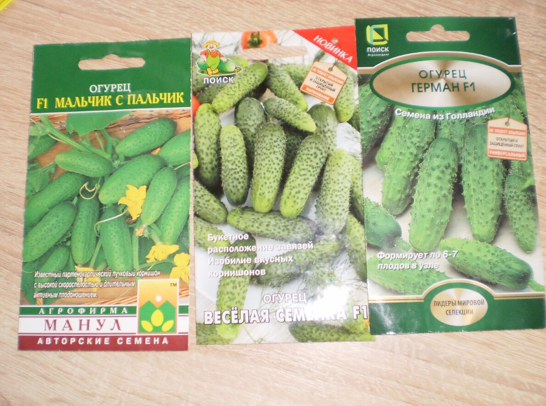 Гибриды "Мальчик с пальчик", "Весёлая семейка" пучкового типа наряду с "Германом" дают хороший урожай.