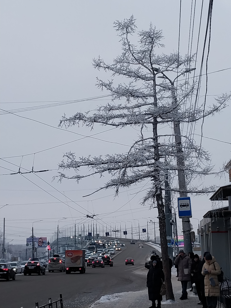 Вид на мост с остановки Магазин Жемчужина