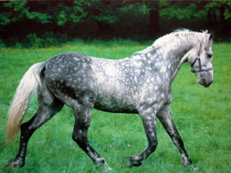 Яндекс фото.