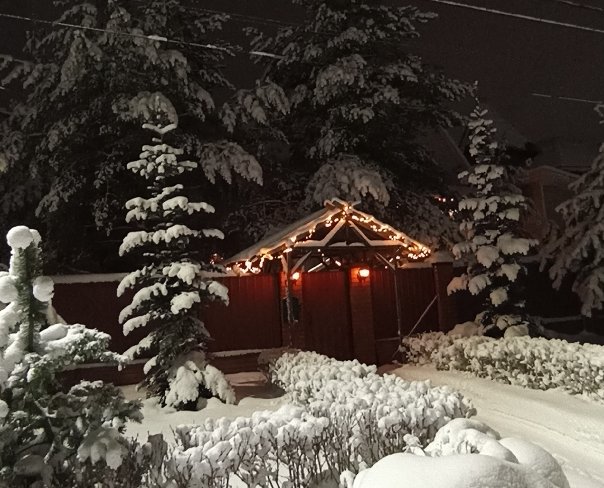 Уютной вам зимы! Фото мое.