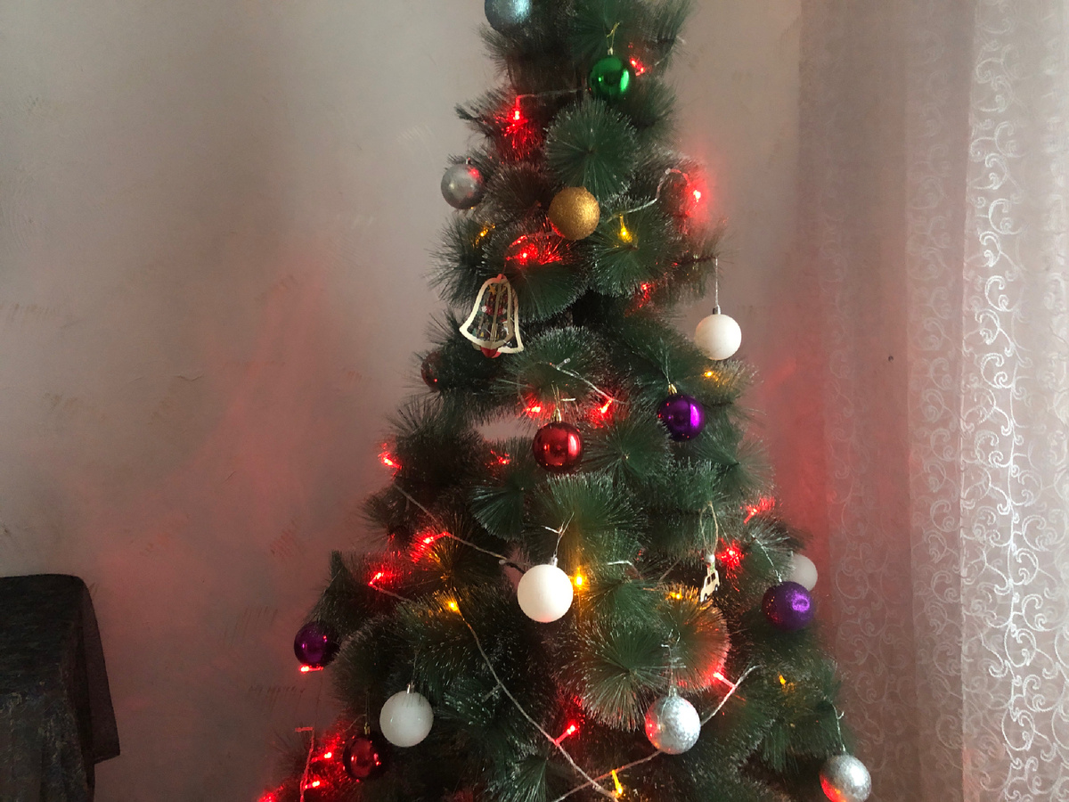 Очень даже красивая, пушистая главное