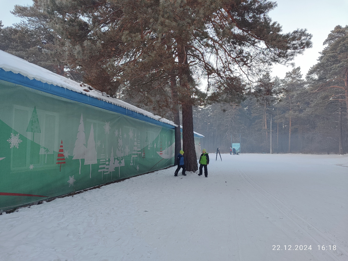 Паша, Вадюха, дерево