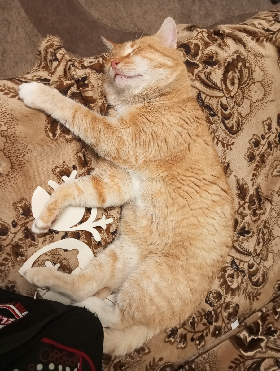 Этому товарищу всегда хорошо живётся