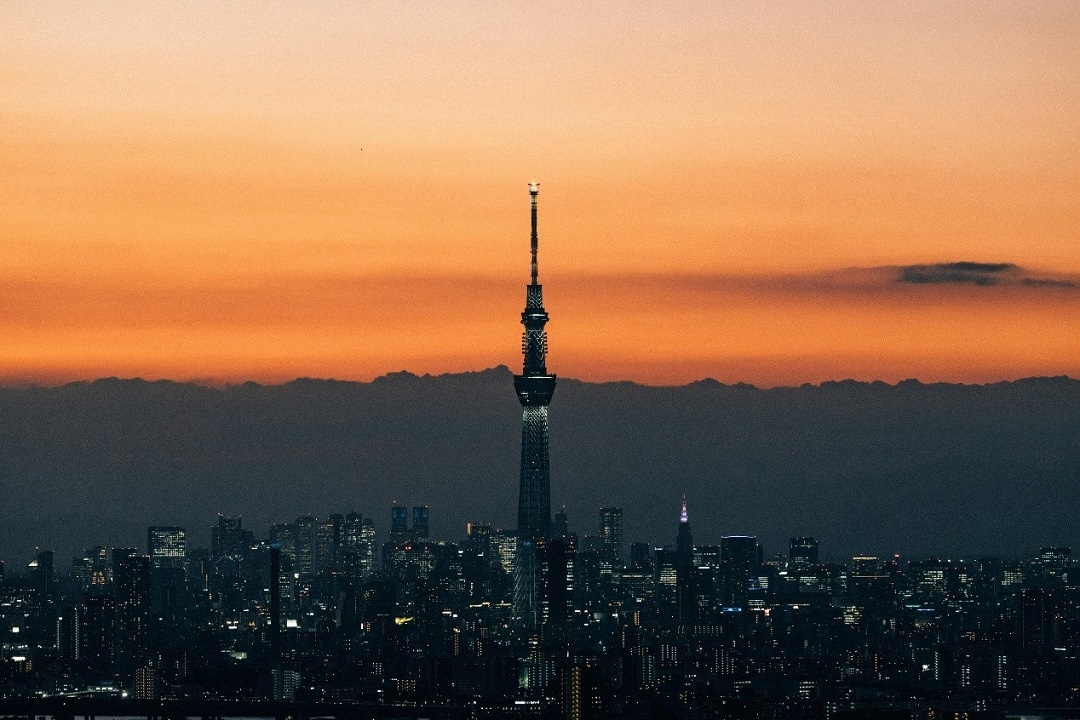 Источник: https://unsplash.com/