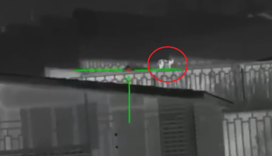    Источник фото: