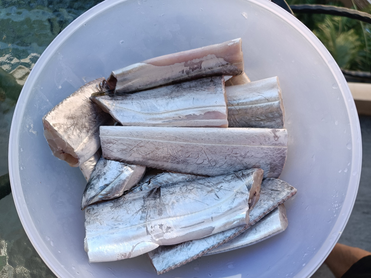 Ленточная рыба