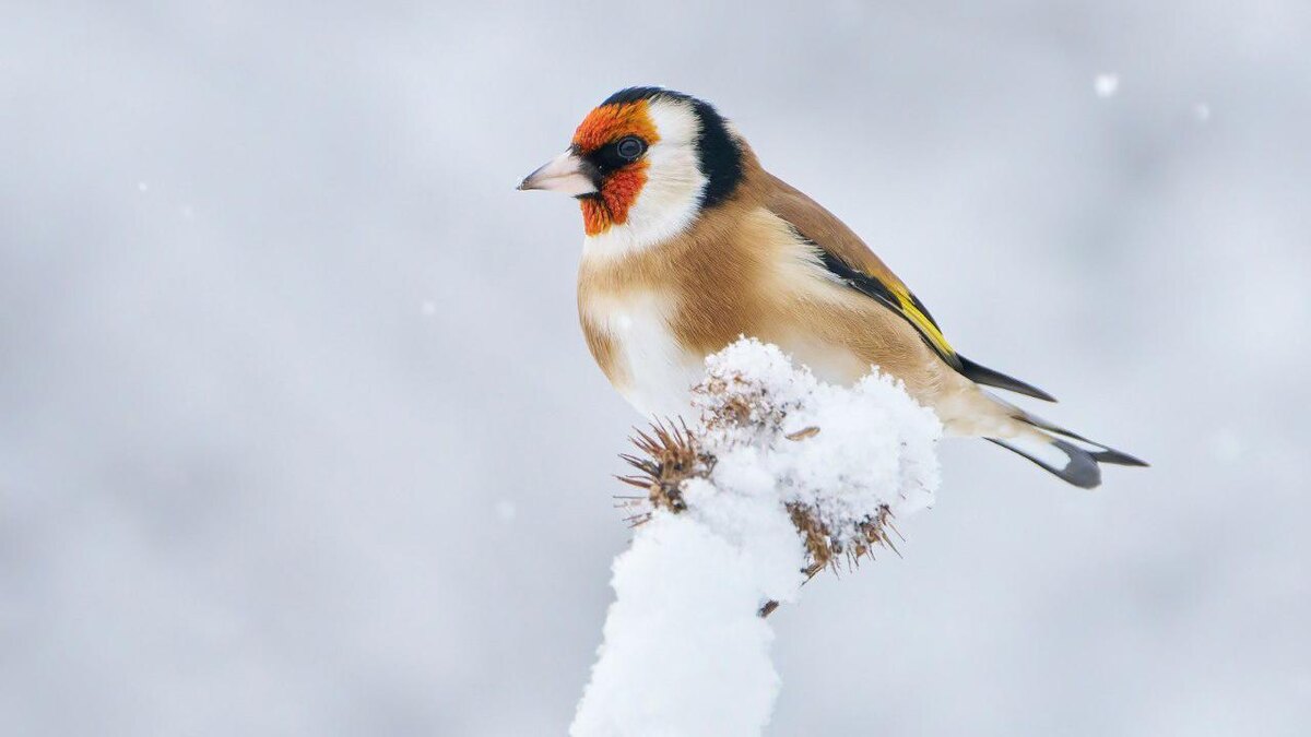    Фото: t.me/kazdoytvaripopare/Стас Крутоверцев