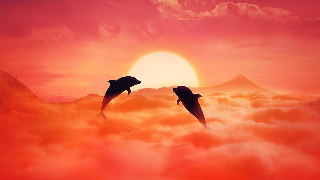    Фото: PsychoShadow/Globallookpress