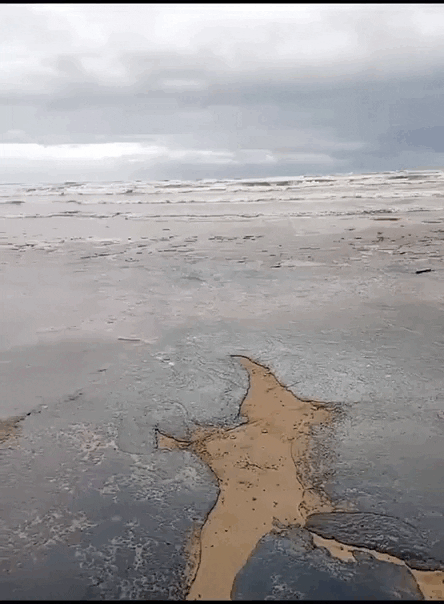    Видео: Telegram-канал "112"