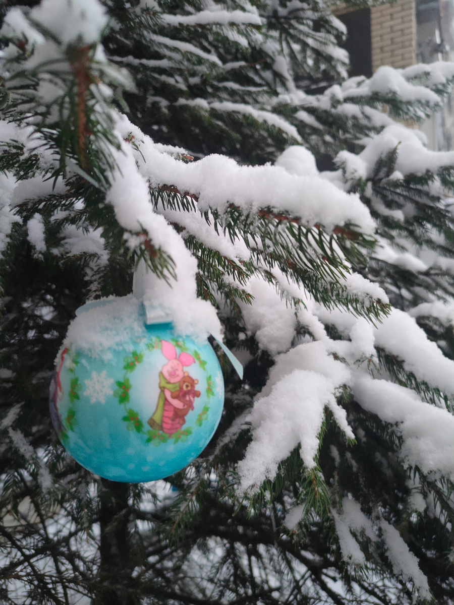 Фото автора 