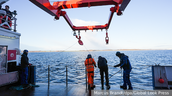     Фото: Marcus Brandt/dpa/Global Look Press   
 Текст: Елизавета Шишкова