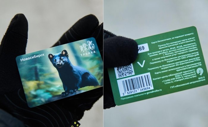 Фото Александра Ощепкова, НГС