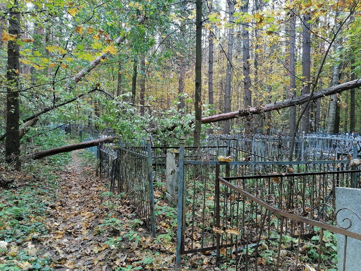 Старое кладбище на улице Ленина. Фото: https://kostroma.today/wp-content/uploads/2021/09/9mcukgu6ynq.jpg