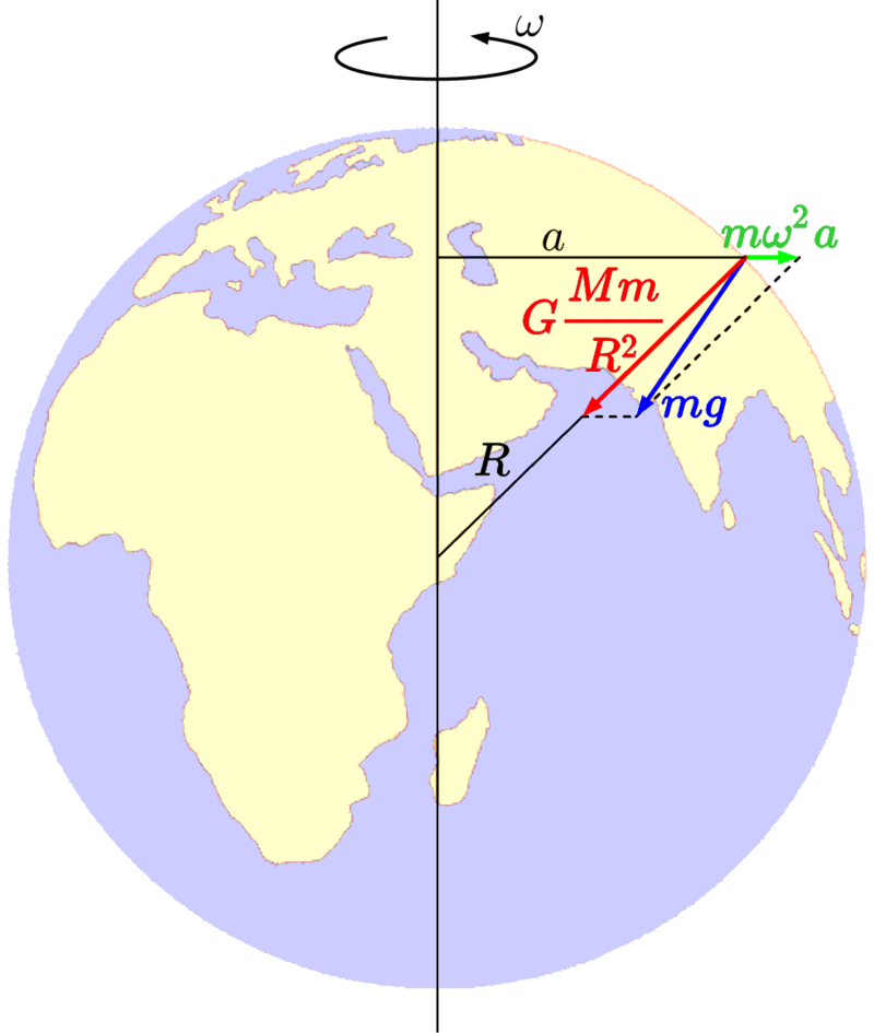    Широтное уменьшение силы тяжестиWikiCommons