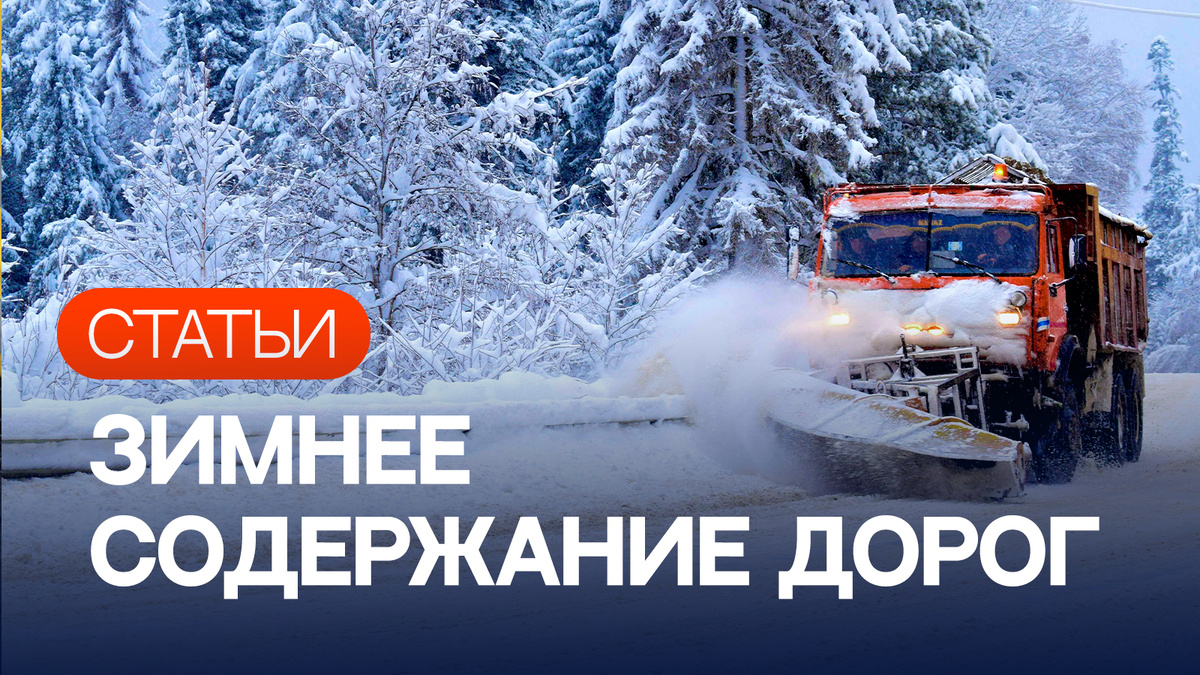 Организация, уровни и требования к зимнему содержанию автомобильных дорог 