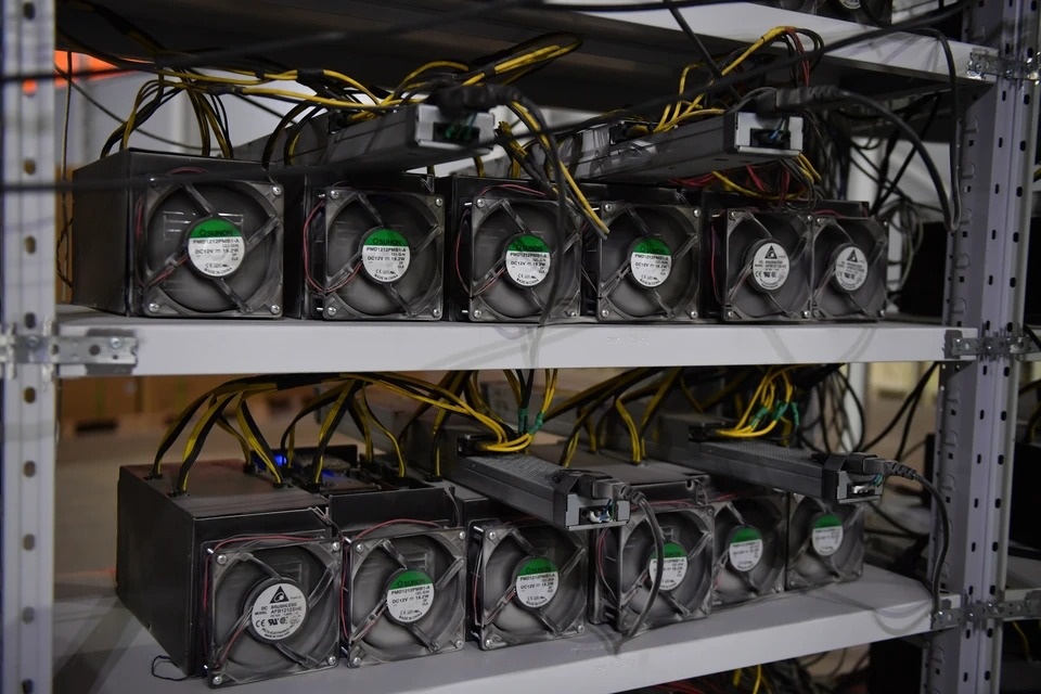 Фото: Михаил ФРОЛОВ

Читайте на WWW.OMSK.KP.RU: https://www.omsk.kp.ru/daily/27676/5028687/