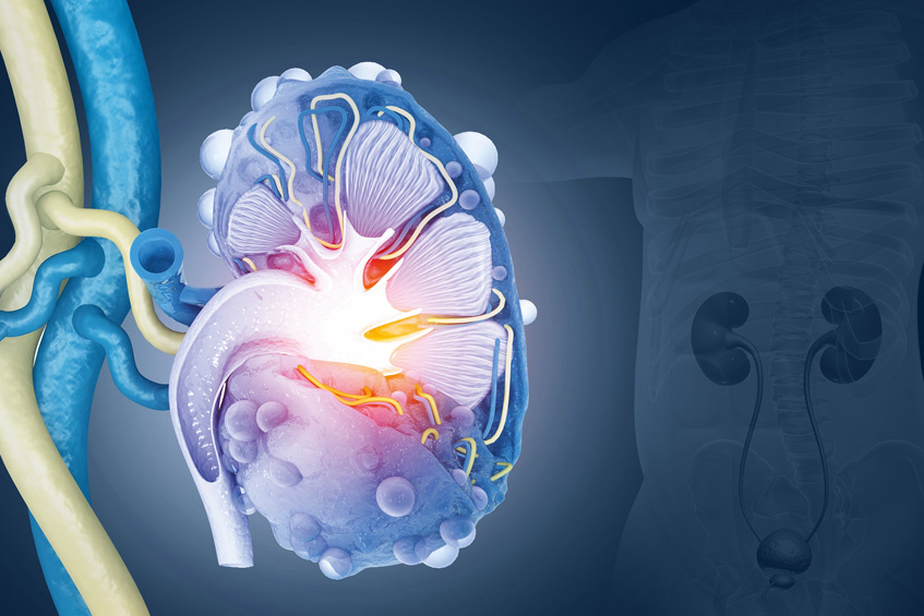 Фото: Shutterstoсk/FOTODOM