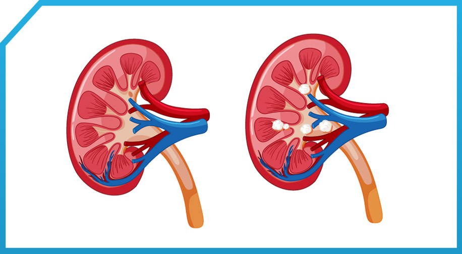 Фото: Shutterstoсk/FOTODOM