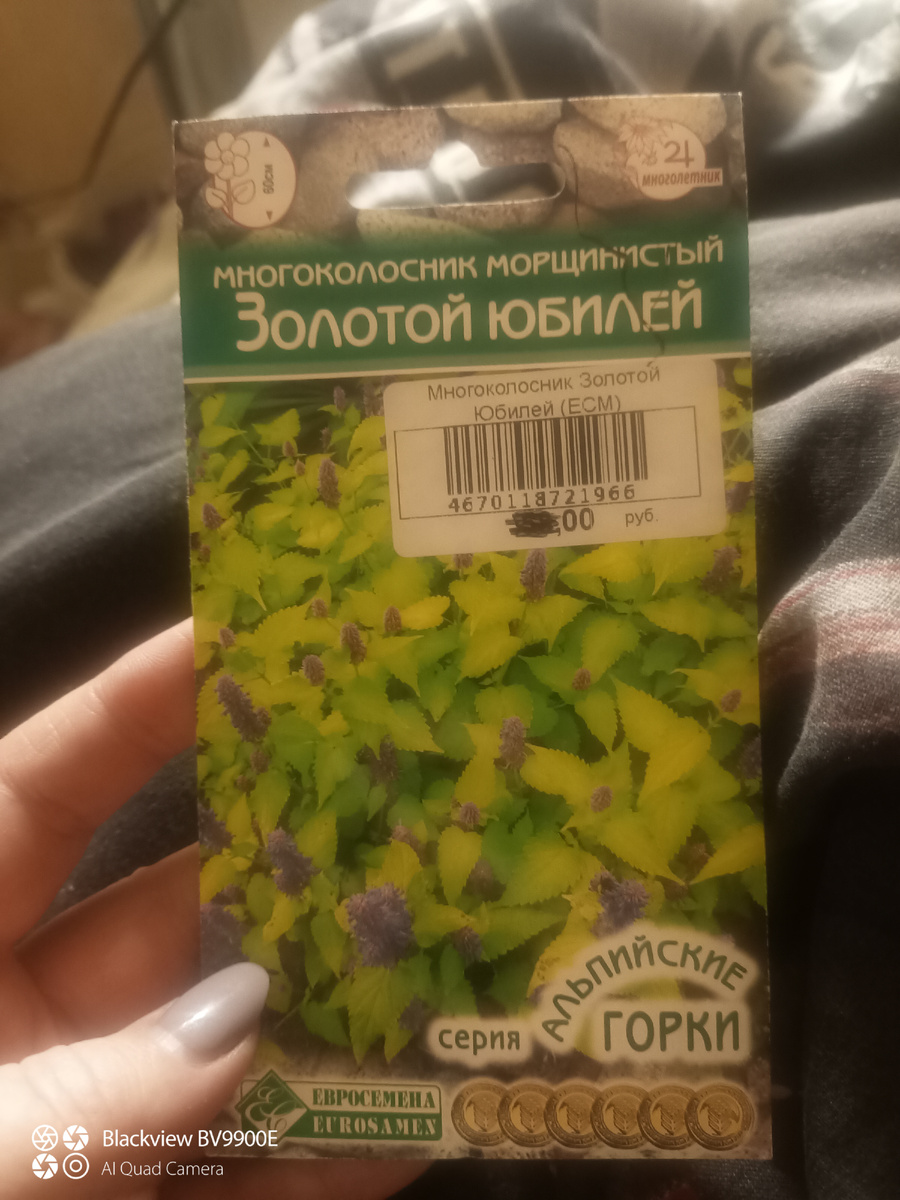 Цена почему-то закрашена, но там что-то меньше 50 точно