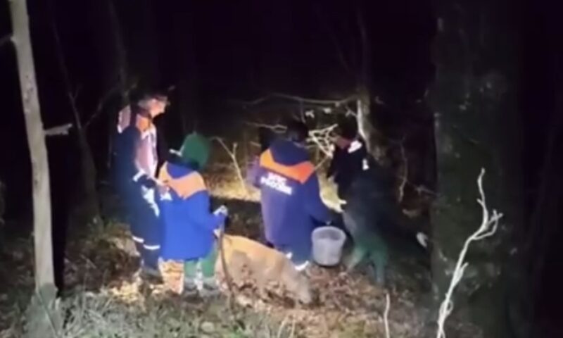    Фото t.me/urpso_mchs