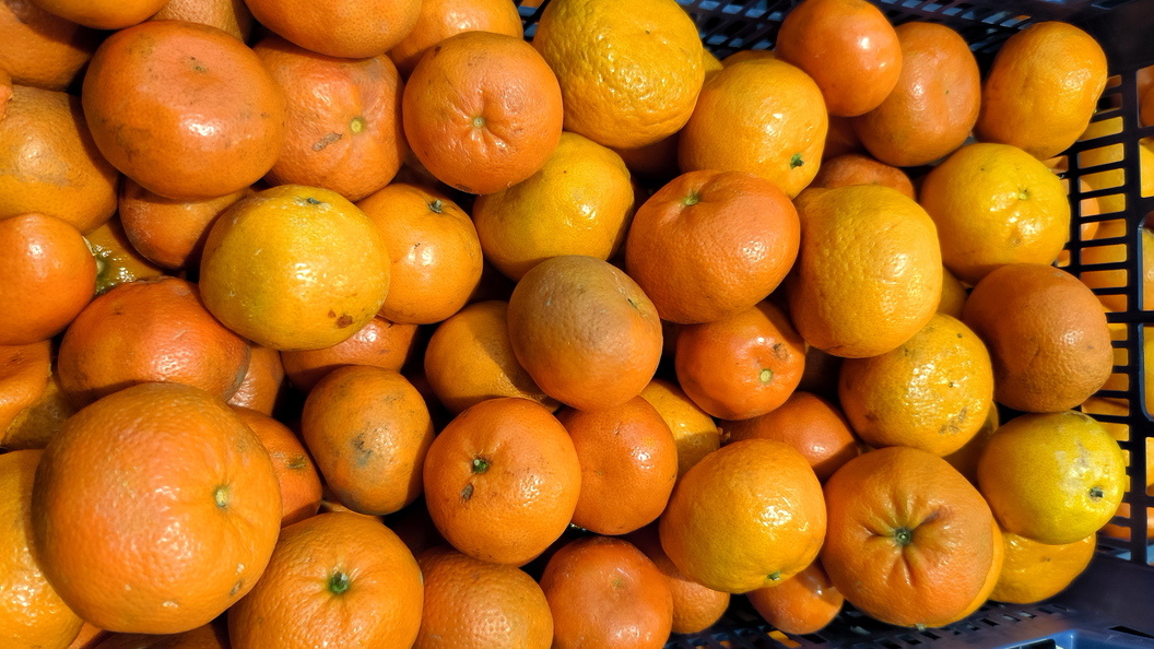    фото: Maksim Konstantinov//Globallookpress