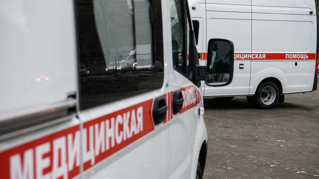    Ilya Moskovets/Globallookpress