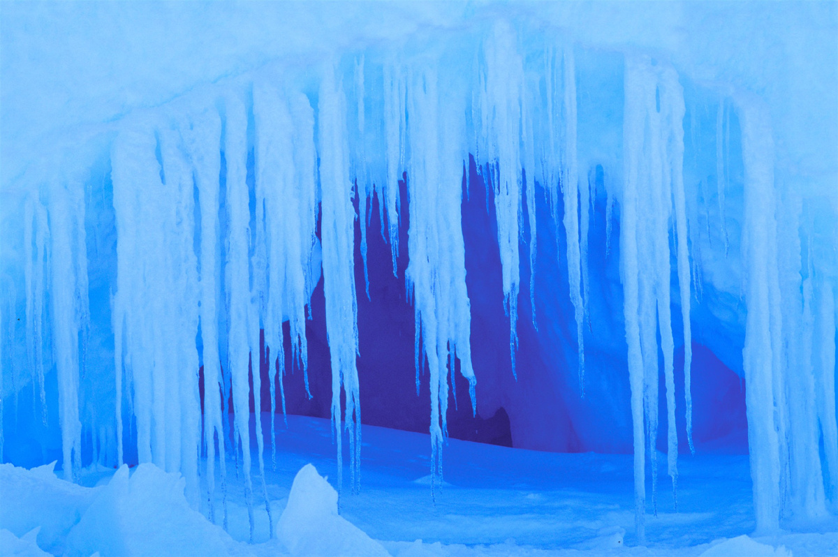 Фото: © Pete Oxford/ Danita Delimont/ Global Look Press